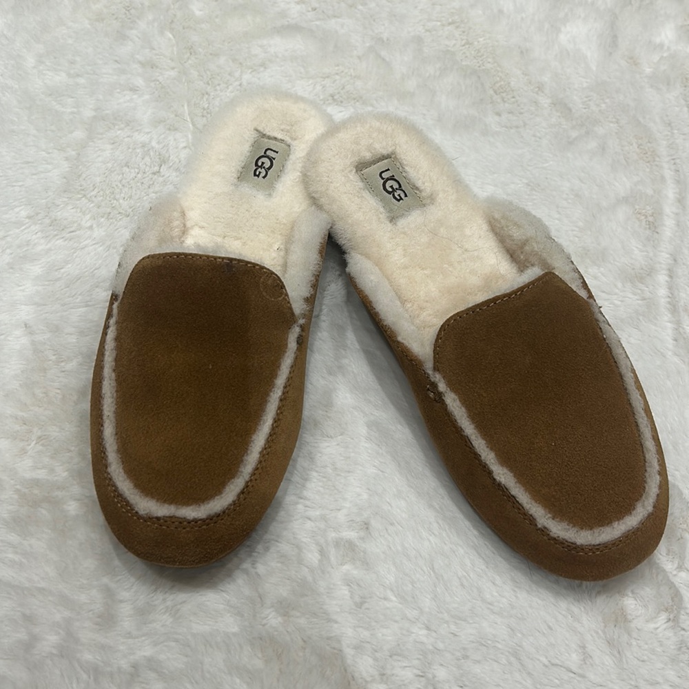 UGG Slippers